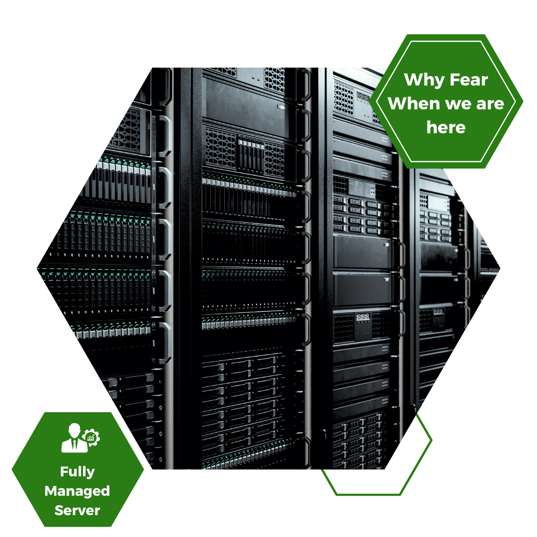 Managed Dedicated Server in India
