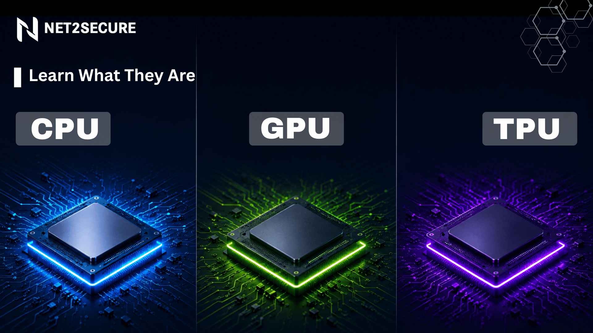 CPU, GPU, and TPU: Learn What They Are